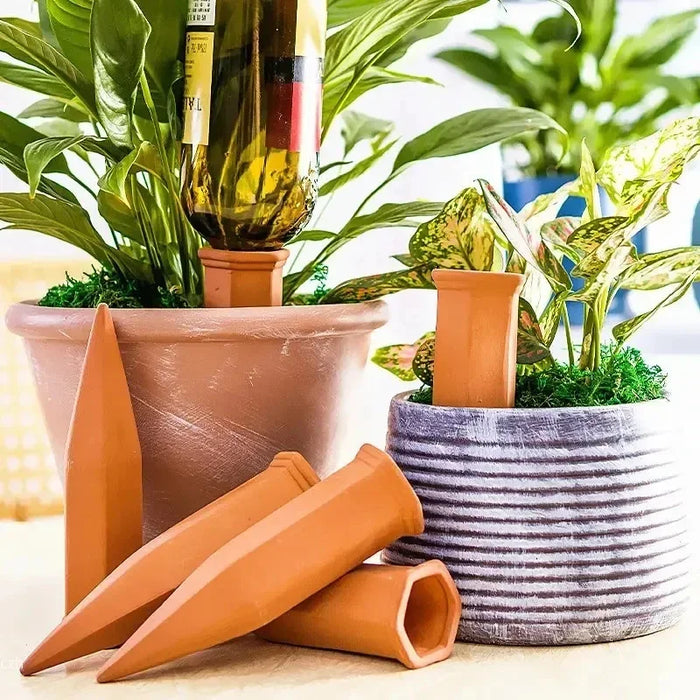 Terracotta watering spikes in plant pots, one with an upturned bottle